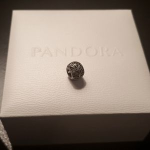 Pandora charm